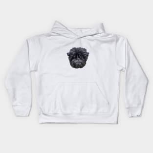 Affenpinscher Cute Puppy Dog Face Kids Hoodie